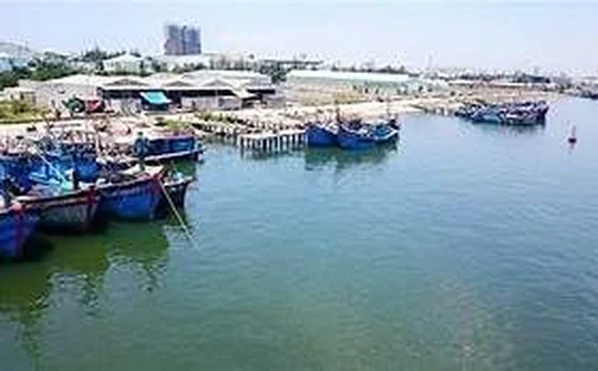 Đà Nẵng: Nâng cấp, mở rộng cảng cá Thọ Quang