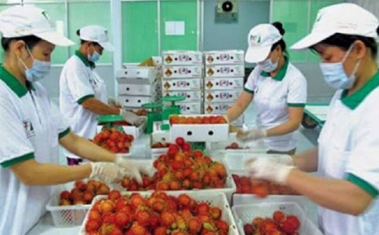 EU thông báo tần suất kiểm tra thực tế rau quả nhập khẩu từ Việt Nam