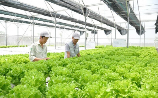 Hà Nội: Đổi mới kinh tế trang trại, phát triển bền vững