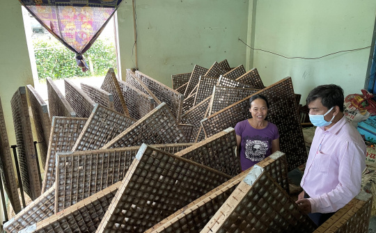 Tín dụng Chính sách - “Chìa khóa” giảm nghèo ở Quảng Hòa, Đắk Nông