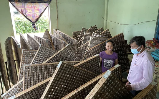 Tín dụng Chính sách - “Chìa khóa” giảm nghèo ở Quảng Hòa, Đắk Nông