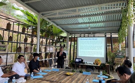 Hội thảo "Thử nghiệm phương pháp cấy trầm sinh học trên cây Dó bầu tại Khánh Hòa"