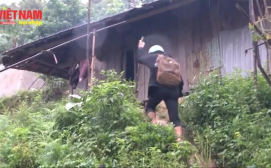 Sự nghiệp Trồng người dưới chân núi Ngọc Linh