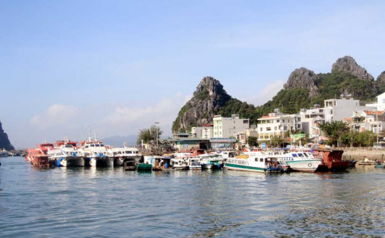 Vân Đồn: Phát triển hệ thống cảng biển, gắn với dịch vụ logistics