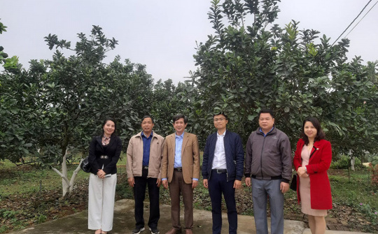 Ứng dụng công nghệ 4.0 đưa HTX lên tầm cao mới