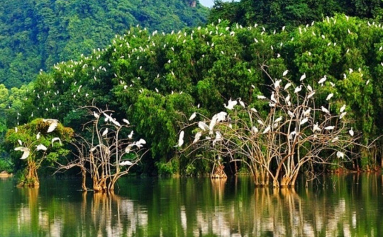 Đạo đức sinh thái trong bối cảnh toàn cầu hóa và hội nhập quốc tế