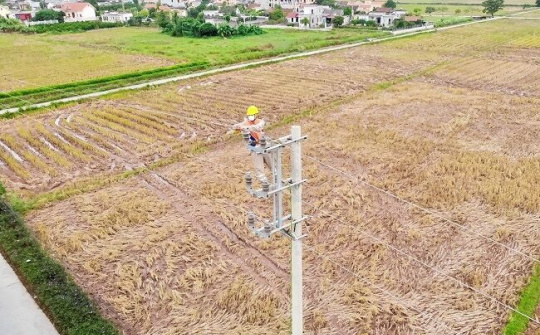 PC Nam Định: Điện lực Hải Hậu xử lý khiếm khuyết các đường dây đảm bảo cấp điện ổn định