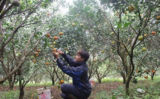 Cao Phong triển khai thực hiện phong trào thi đua yêu nước