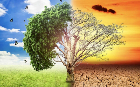 Ứng phó với biến đổi khí hậu, phục hồi tự nhiên phải trở thành ưu tiên cao nhất trong mọi quyết sách phát triển