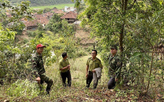 Huyện Điện Biên: Nỗ lực tăng cường công tác bảo vệ rừng