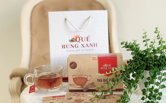 Cây quế “nở hoa” trên khắp dải đất hình chữ S