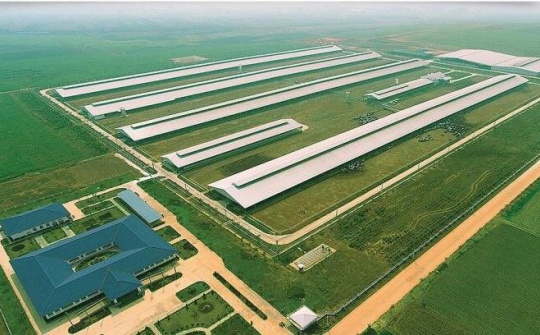 Hành trình Vinamilk xây dựng hệ thống 13 trang trại chuẩn quốc tế khắp Việt Nam