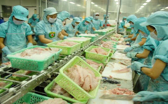 Cổ phiếu lập đỉnh mới khi thị trường xuất khẩu thủy sản phục hồi ấn tượng