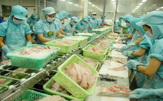Cổ phiếu lập đỉnh mới khi thị trường xuất khẩu thủy sản phục hồi ấn tượng