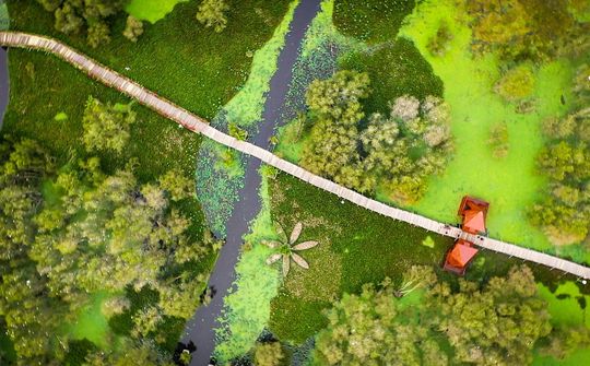 Trà Sư “gõ nhịp” du lịch xanh