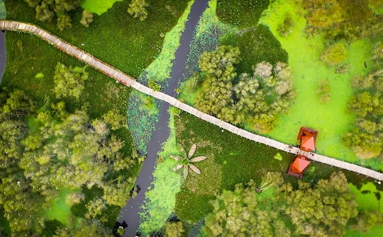 Trà Sư “gõ nhịp” du lịch xanh