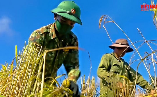 BẢN TIN VIỆT NAM HỘI NHẬP (Tuần 4 tháng 11/2021)