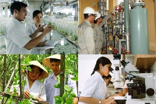 Hoạt động nghiên cứu khoa học phải gắn với ứng dụng và phát triển công nghệ, phục vụ phát triển KT-XH