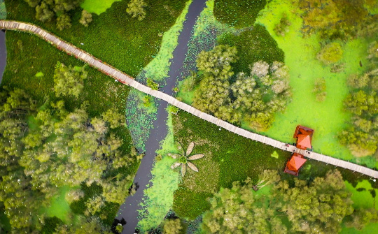 Ecotourism restoration with Tra Su