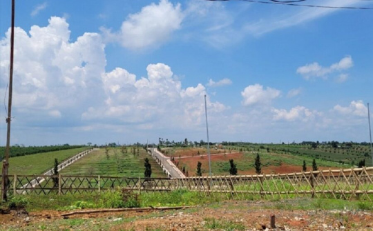 Lâm Đồng ra quy định mới về tách thửa đất để ngăn phân lô bán nền tràn lan