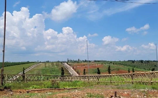 Lâm Đồng ra quy định mới về tách thửa đất để ngăn phân lô bán nền tràn lan