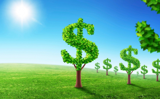 Tiếp cận kinh tế môi trường từ lý luận đến thực tiễn ở Việt Nam