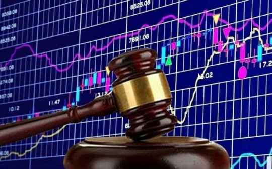 Tập đoàn APEC Group bị phạt 90 triệu đồng