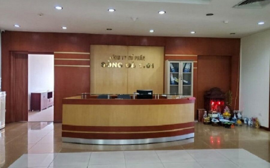 Sông Đà 1.01 (SJC) bị phạt 100 triệu do vi phạm công bố thông tin