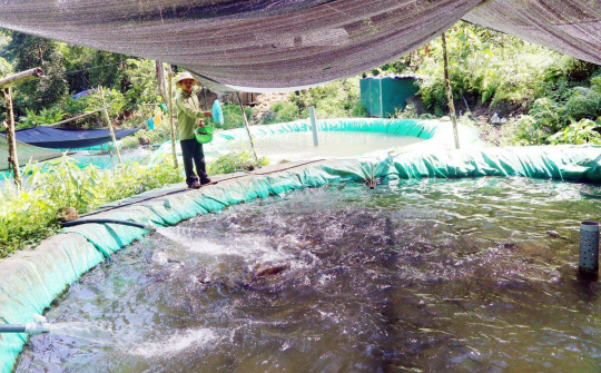 Láo Vàng - Điểm sáng vùng cao Tây Bắc