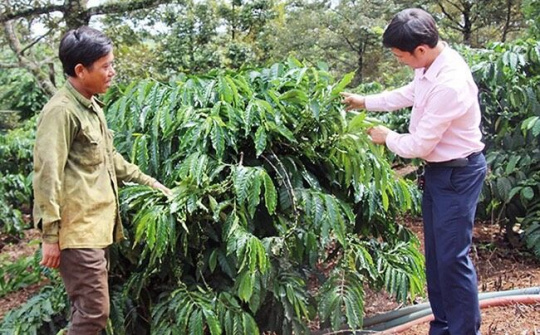 Nguồn vốn ủy thác địa phương giúp hàng nghìn lao động nông thôn ở Đăk Nông phát triển kinh tế