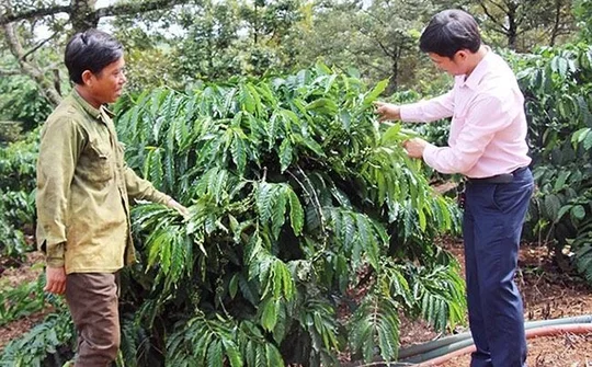 Nguồn vốn ủy thác địa phương giúp hàng nghìn lao động nông thôn ở Đăk Nông phát triển kinh tế