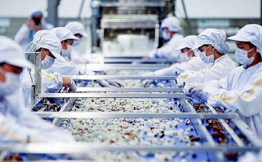 Bộ Công Thương hoàn tất đăng ký doanh nghiệp sản xuất thực phẩm xuất khẩu đi Trung Quốc