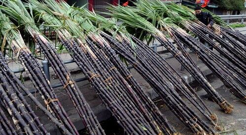 Hòa Bình: Thực hiện các giải pháp hỗ trợ, tạo điều kiện thuận lợi tiêu thụ nông sản