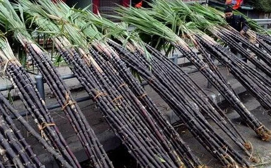Hòa Bình: Thực hiện các giải pháp hỗ trợ, tạo điều kiện thuận lợi tiêu thụ nông sản