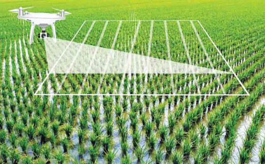 Nâng cao nhận thức về tầm quan trọng của chuyển đổi số