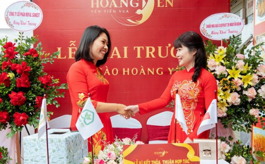 Hoàng Yến - Nâng tầm chất lượng yến Việt