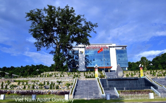 Apatit Việt Nam: Vững vàng giữa đại dịch Covid-19