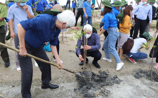 Khánh Hòa: Hưởng ứng Chương trình “Trồng 1 tỷ cây xanh giai đoạn 2021 - 2025”