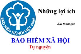 Phát triển BHXH tự nguyện: Điểm tựa vững chắc cho người lao động tự do