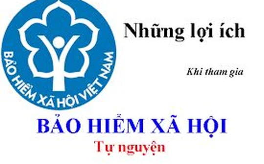 Phát triển BHXH tự nguyện: Điểm tựa vững chắc cho người lao động tự do