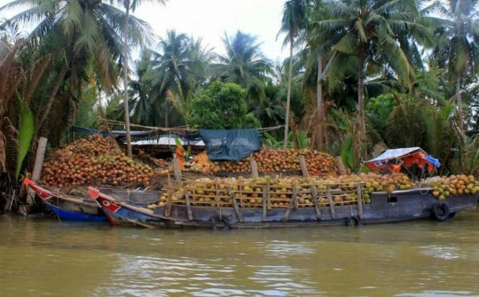 Bến Tre: Nhiều khởi sắc về kinh tế trong những ngày cuối năm