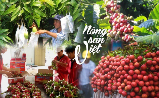 Con đường sáng của nông sản Việt Nam