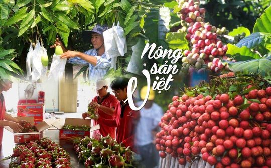 Con đường sáng của nông sản Việt Nam