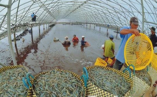 Đồng bằng sông Cửu Long: Thuận thiên bền vững, vượt đại dịch