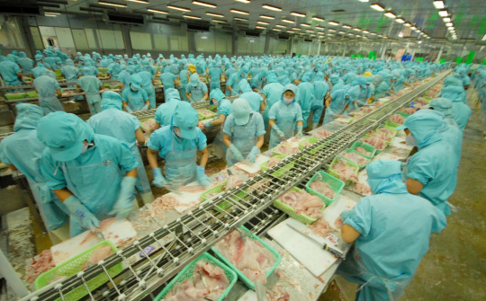 IDI tìm đường xuất khẩu sang Mỹ