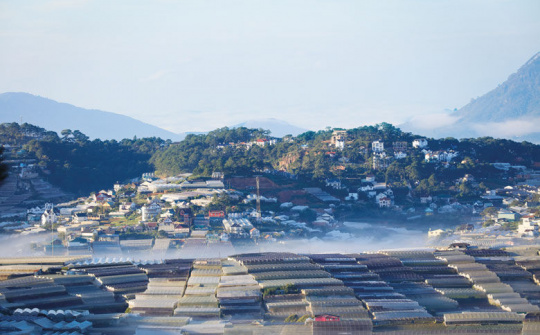 Chủ tịch UBND tỉnh Lâm Đồng  làm việc với TP Đà Lạt