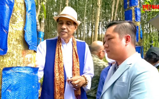 Mô hình trồng cây Dó bàu xuất hiện trở lại