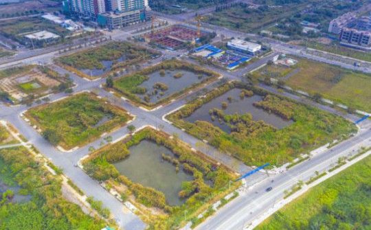 Ngăn chặn hành vi lợi dụng đấu giá đất để gây nhiễu loạn thị trường, trục lợi