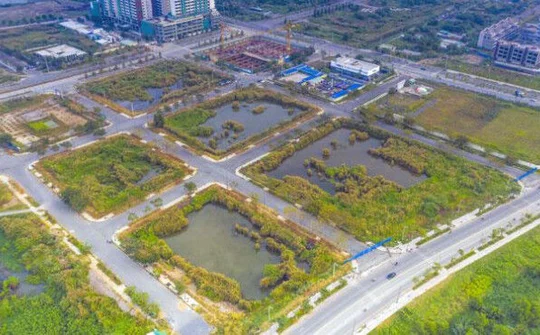 Ngăn chặn hành vi lợi dụng đấu giá đất để gây nhiễu loạn thị trường, trục lợi