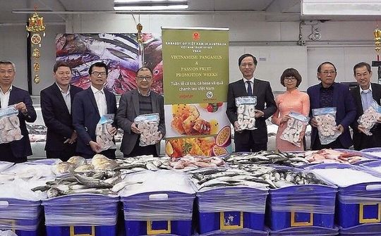 Cá tra, cá basa Việt Nam lên gian hàng trực tuyến tại thị trường Australia